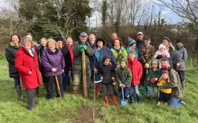 Plant a tree for the Jubilee!