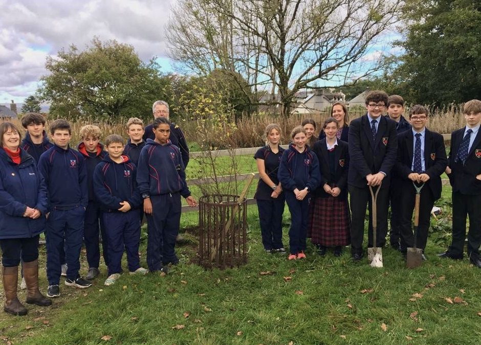 The Queen’s Green Canopy Tree Planting in Yelverton